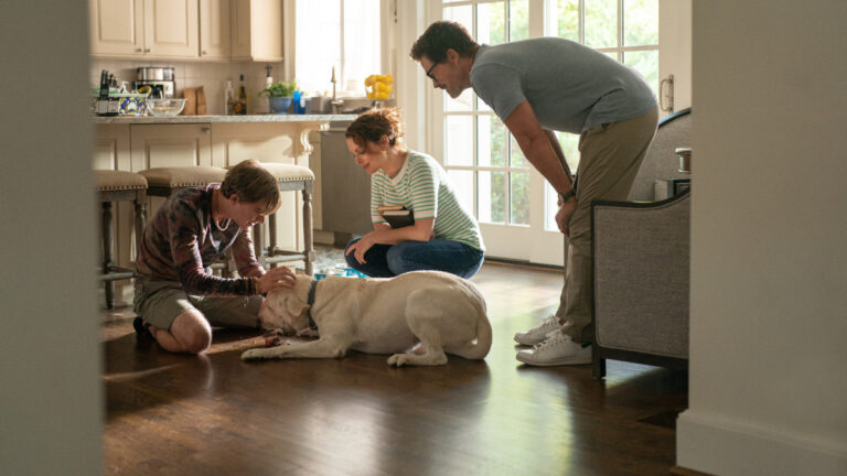 ‘Dog Gone’ Review: A Boy Goes in Search of His Dog