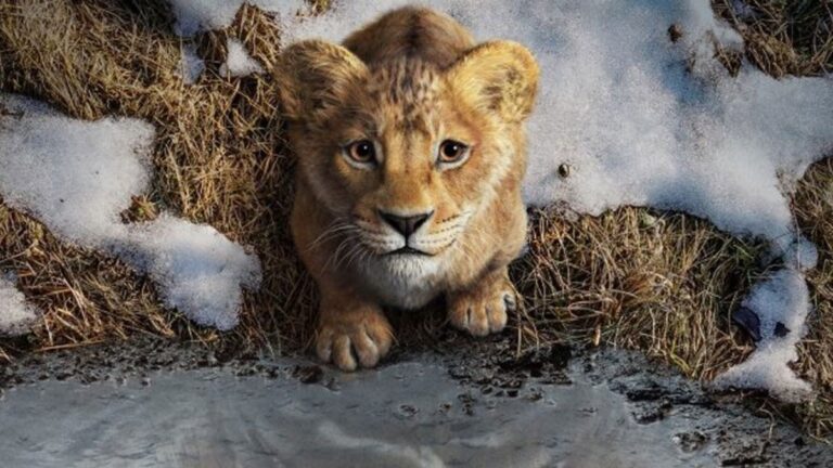 Everything We Know About the 'Mufasa: The Lion King' Movie